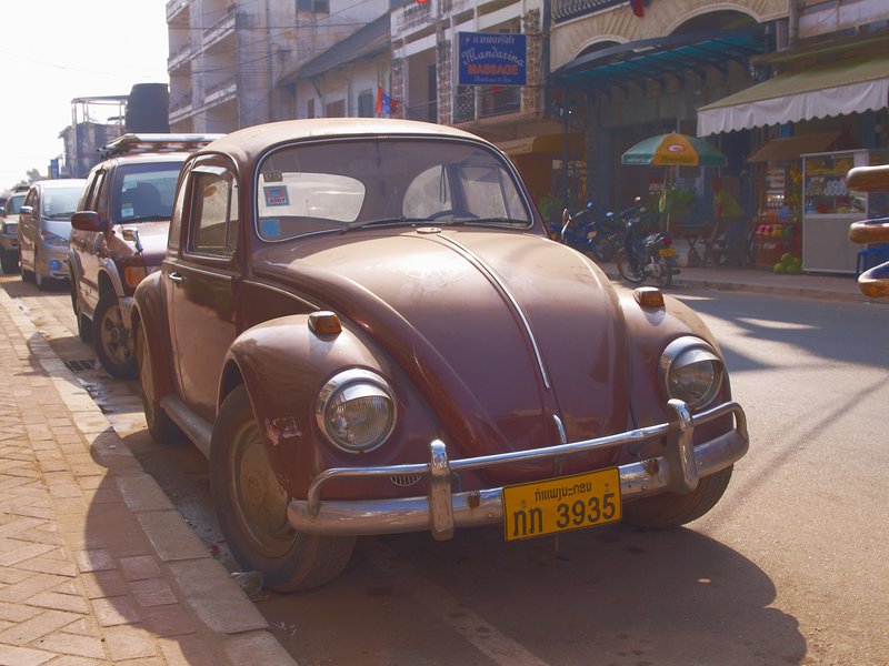 Vientiane, Beetle